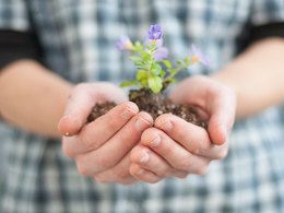 close up of a person holding seedling in two hands